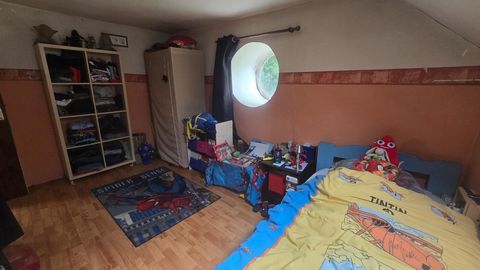 photo no. 7