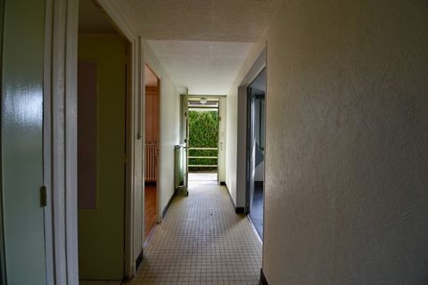 photo no. 1