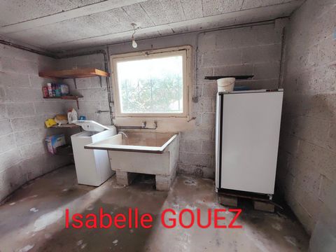 photo no. 11