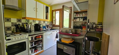 photo no. 10