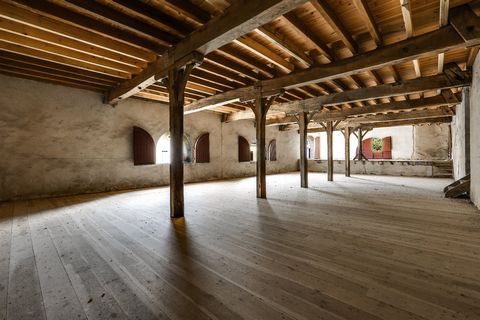 photo no. 12