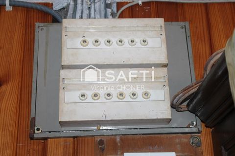 photo no. 11