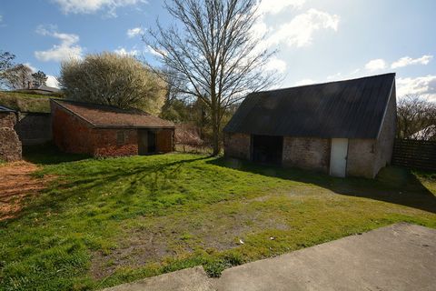 photo no. 2