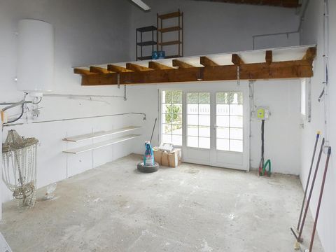 photo no. 12