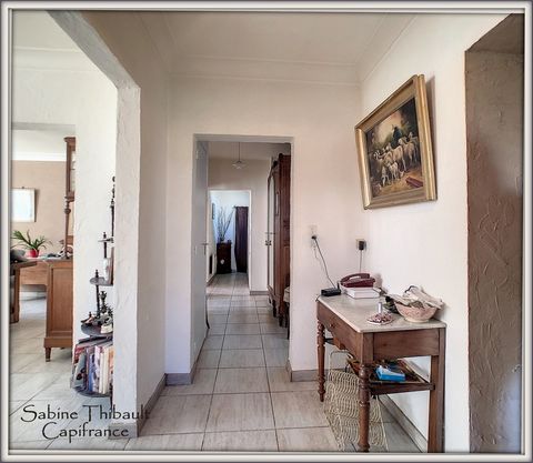 photo no. 2