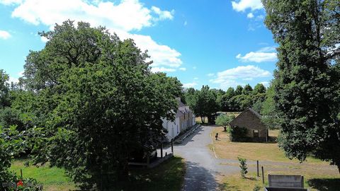 photo no. 2