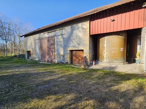 photo no. 13