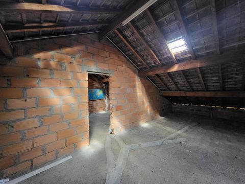 photo no. 16
