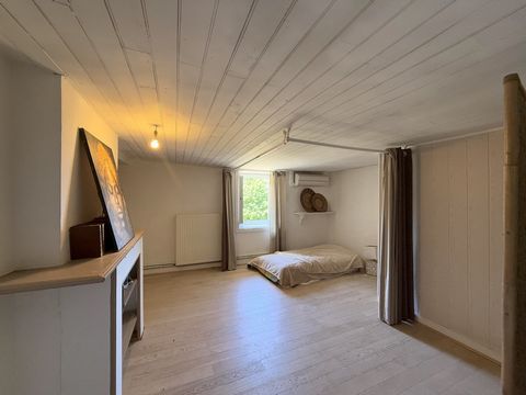 photo no. 11