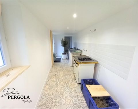 photo no. 12
