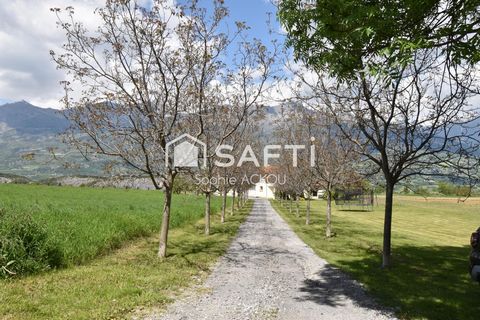 photo no. 13