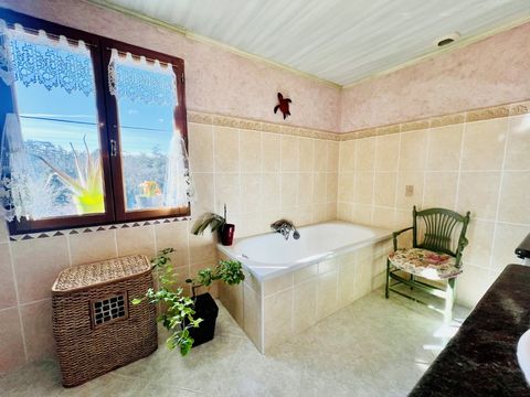 photo no. 13