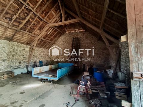 photo no. 19