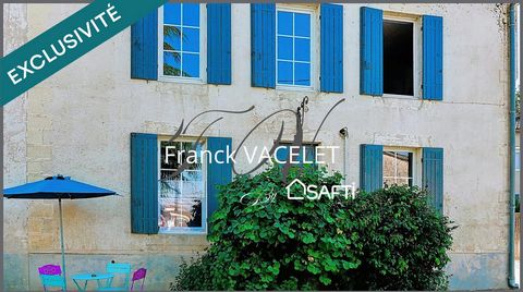 photo no. 12