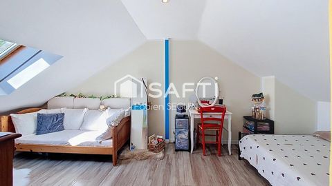 photo no. 8