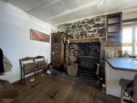 photo no. 3