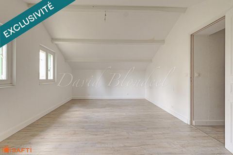 photo no. 14