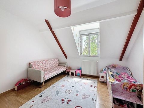photo no. 10