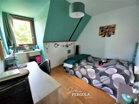 photo no. 8