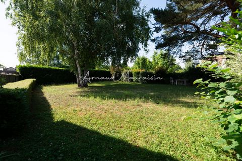 photo no. 9
