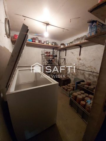 photo no. 13