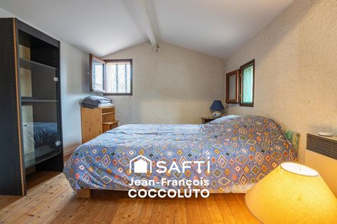 photo no. 12