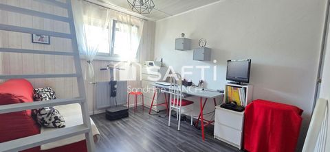 photo no. 11