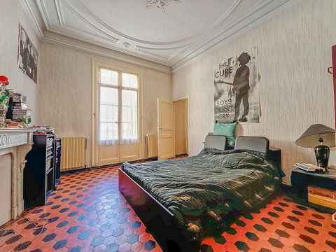 photo no. 9