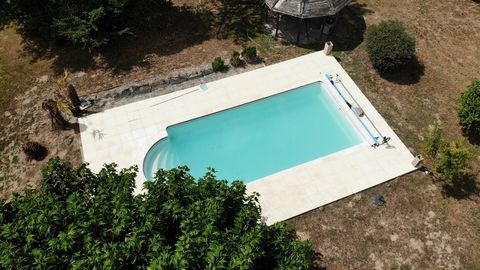 photo no. 4