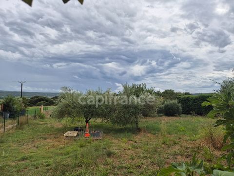 photo no. 2