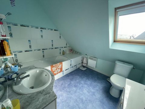 photo no. 11