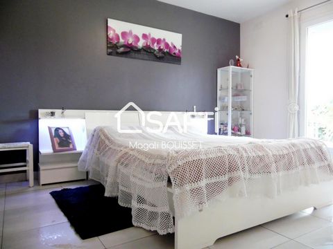 photo no. 11