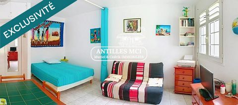 APPARTEMENT T1 BIS MEUBLÉ AVEC SON GARAGE SECURISE