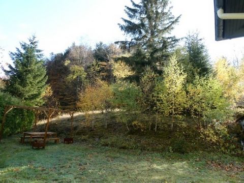 photo no. 2
