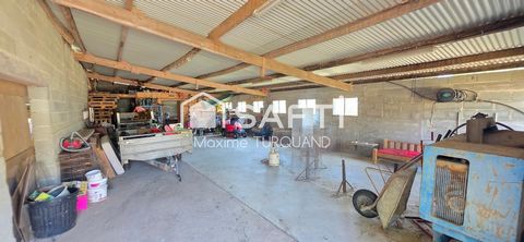 photo no. 14