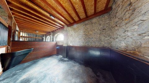 photo no. 14