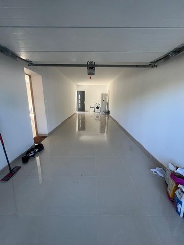 photo no. 12