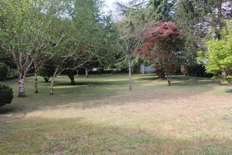photo no. 9