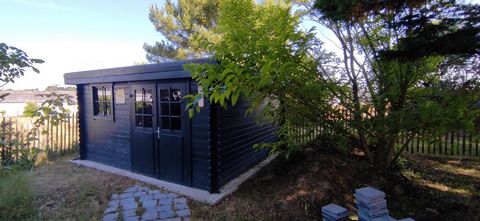 photo no. 12