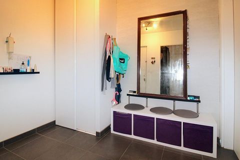 photo no. 8