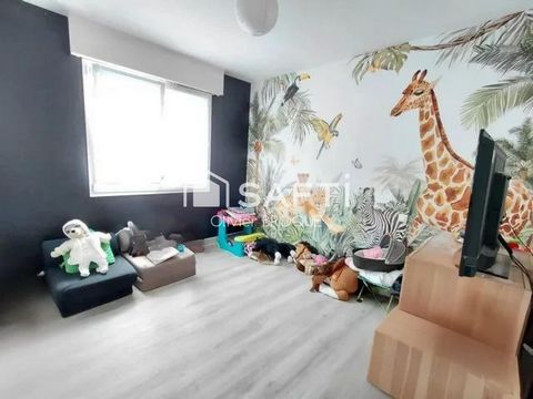photo no. 7