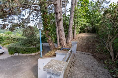photo no. 1