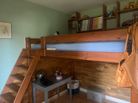 photo no. 15