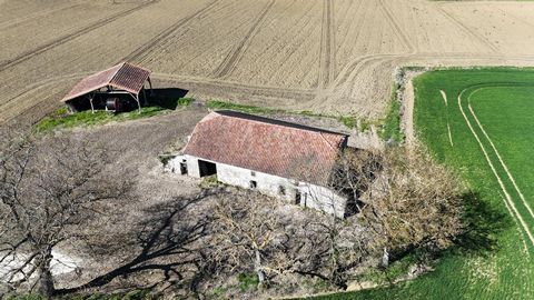 photo no. 1