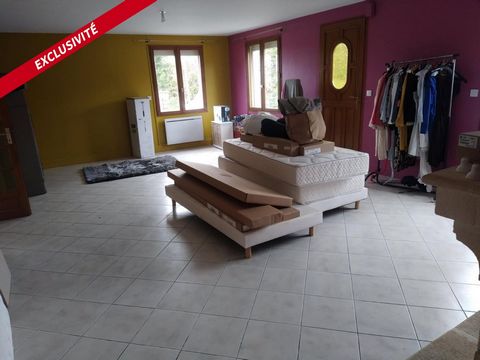 photo no. 2