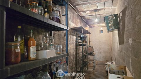 photo no. 13