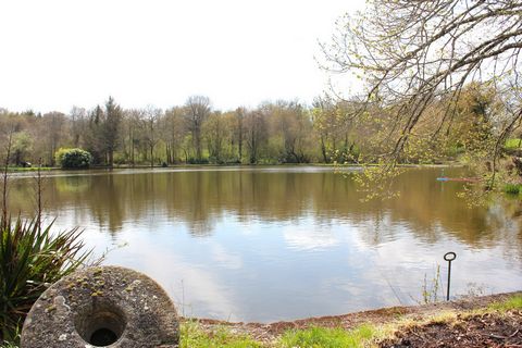 photo no. 4