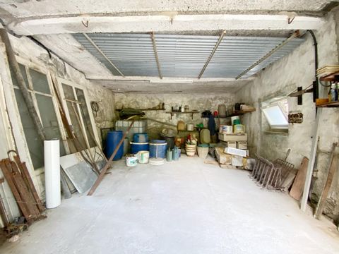 photo no. 15