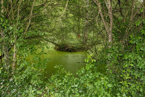 photo no. 6