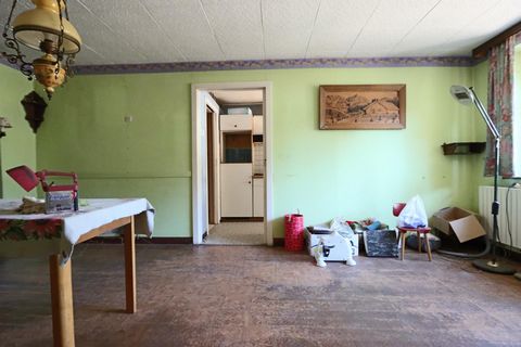 photo no. 5